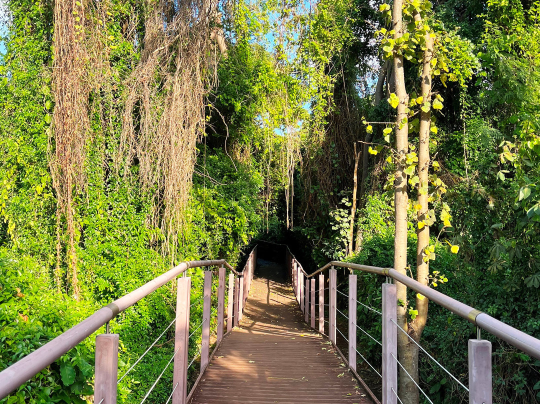 Baia dos Golfinhos-费尔南多-迪诺罗尼亚群岛必去景点