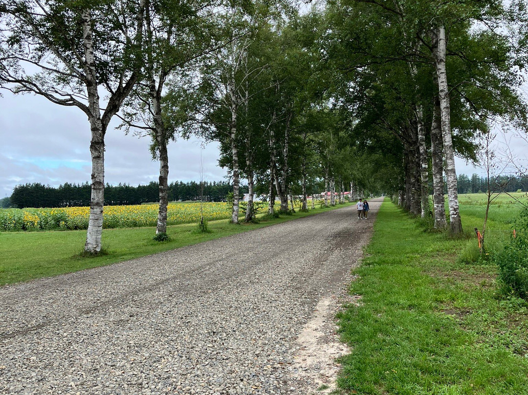 Tokachi Ranch-音更町必去景点