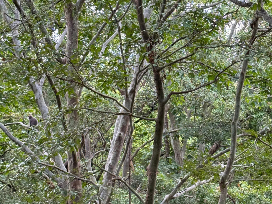 Smart Taxi & Tours Pasikudah-卡尔库达必去景点