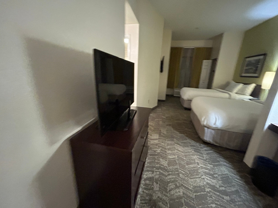 米尔福德春季山丘套房酒店主图