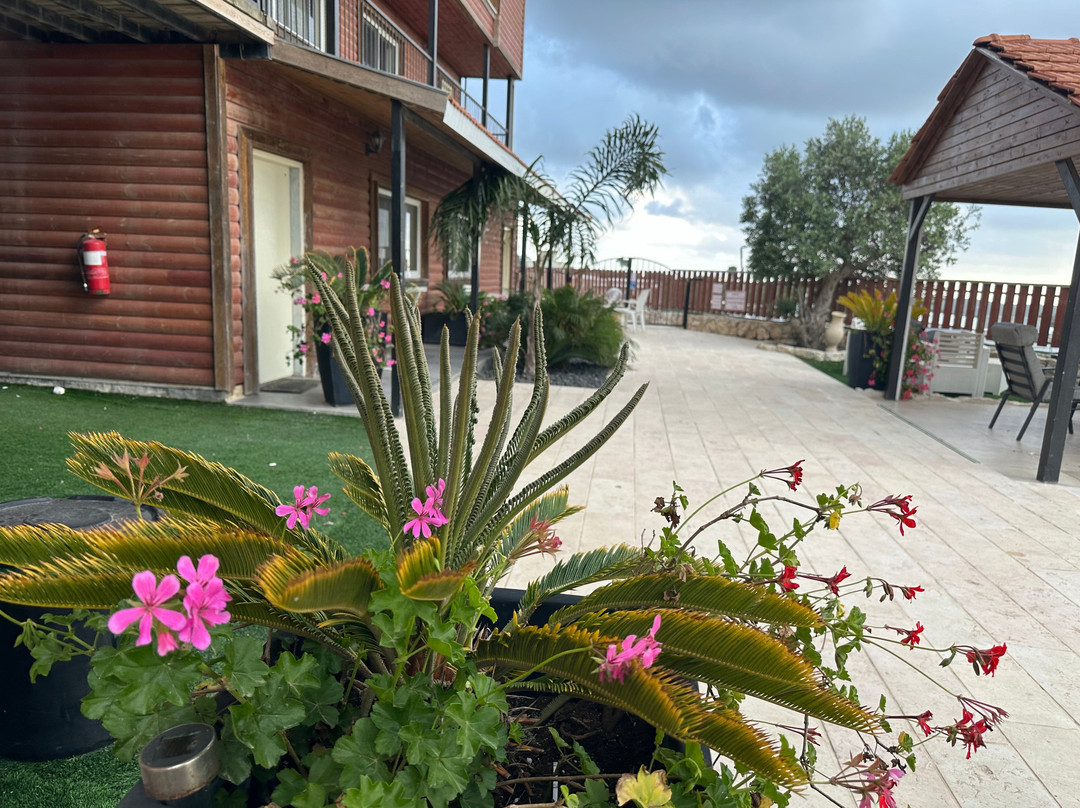 Carmel Cabins
