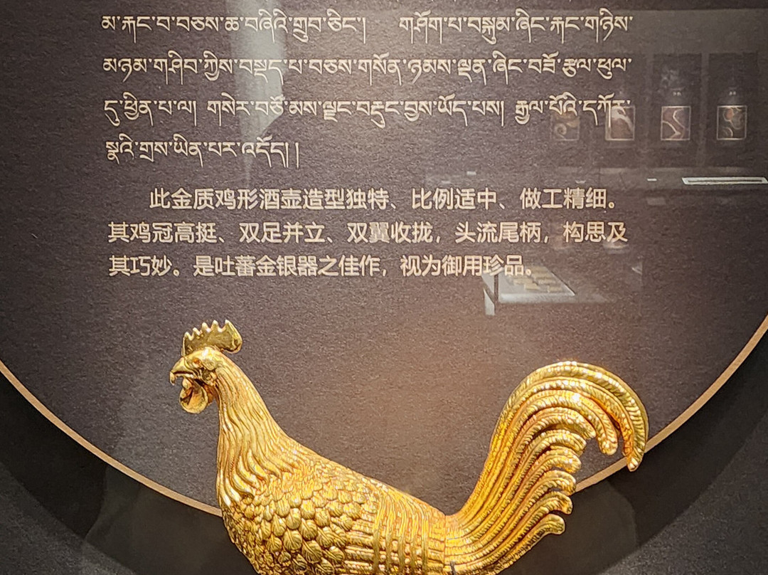 中国藏医药文化博物馆景点图片