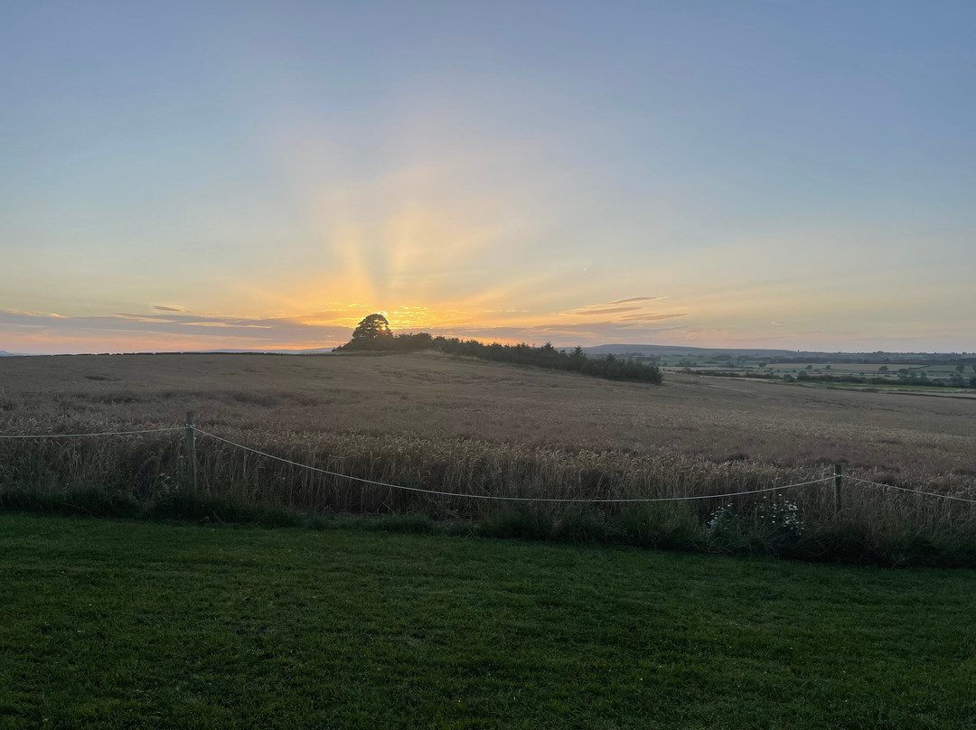Eastfield Glamping Farm