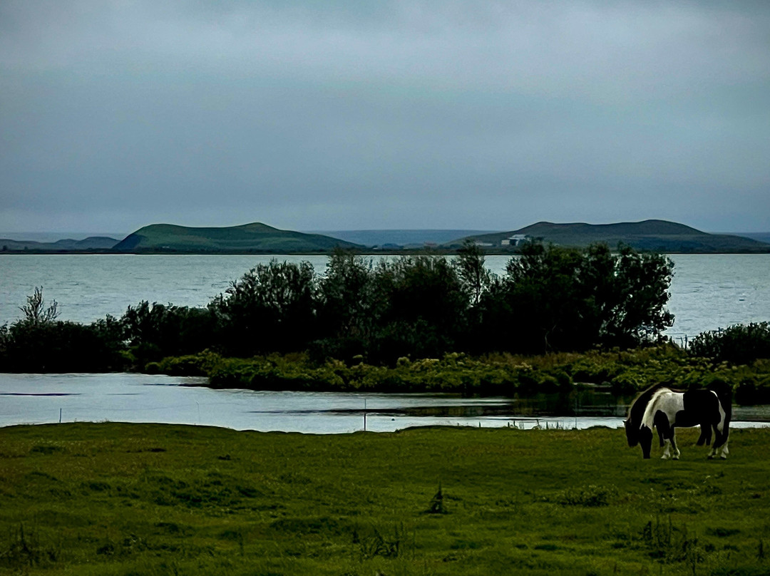 Mývatn - Berjaya Iceland Hotels主图