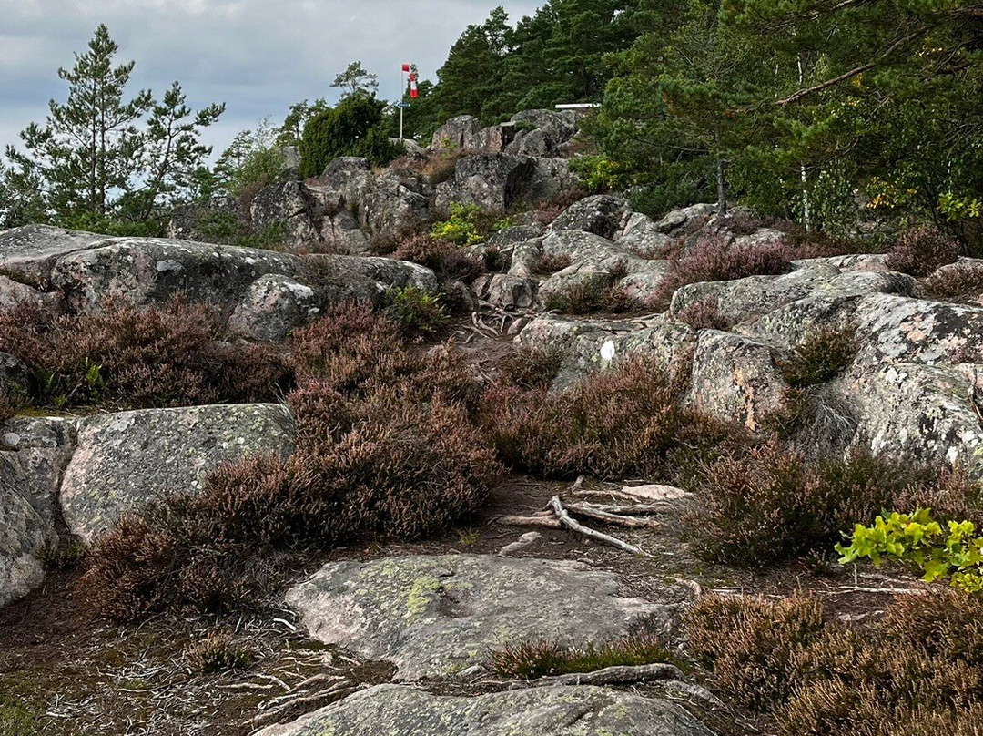 Gamleby Trollskogen-Gamleby必去景点