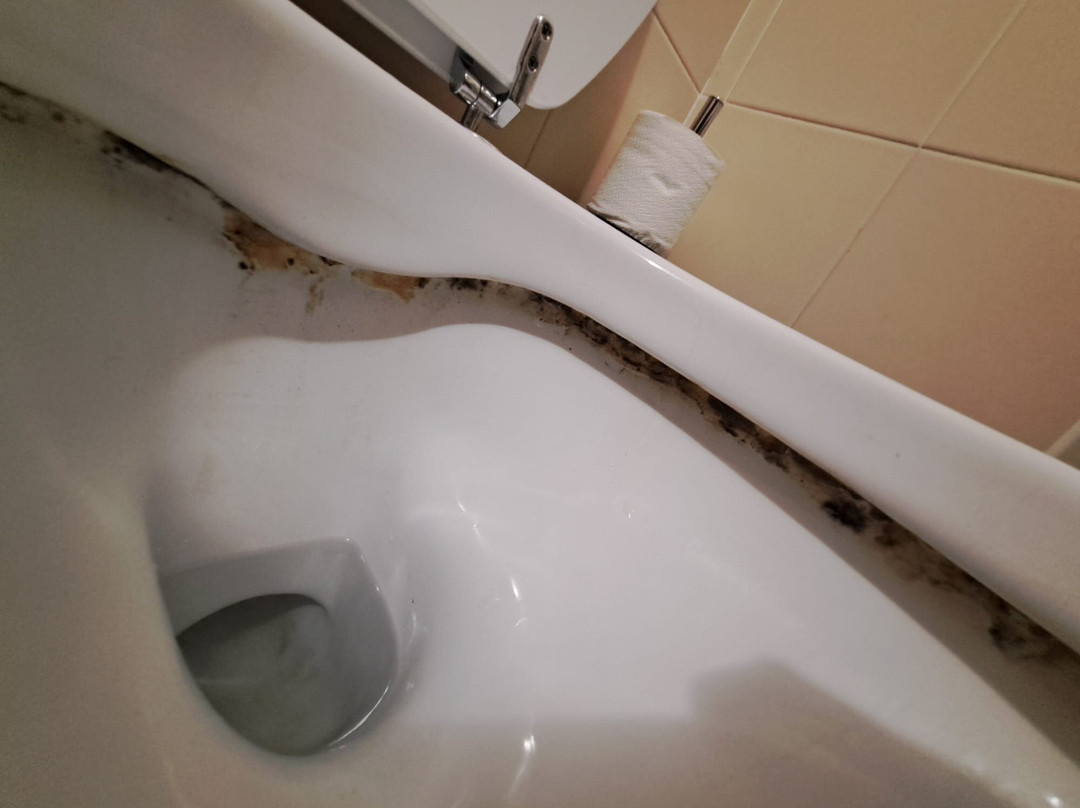 郁金香经典酒店主图