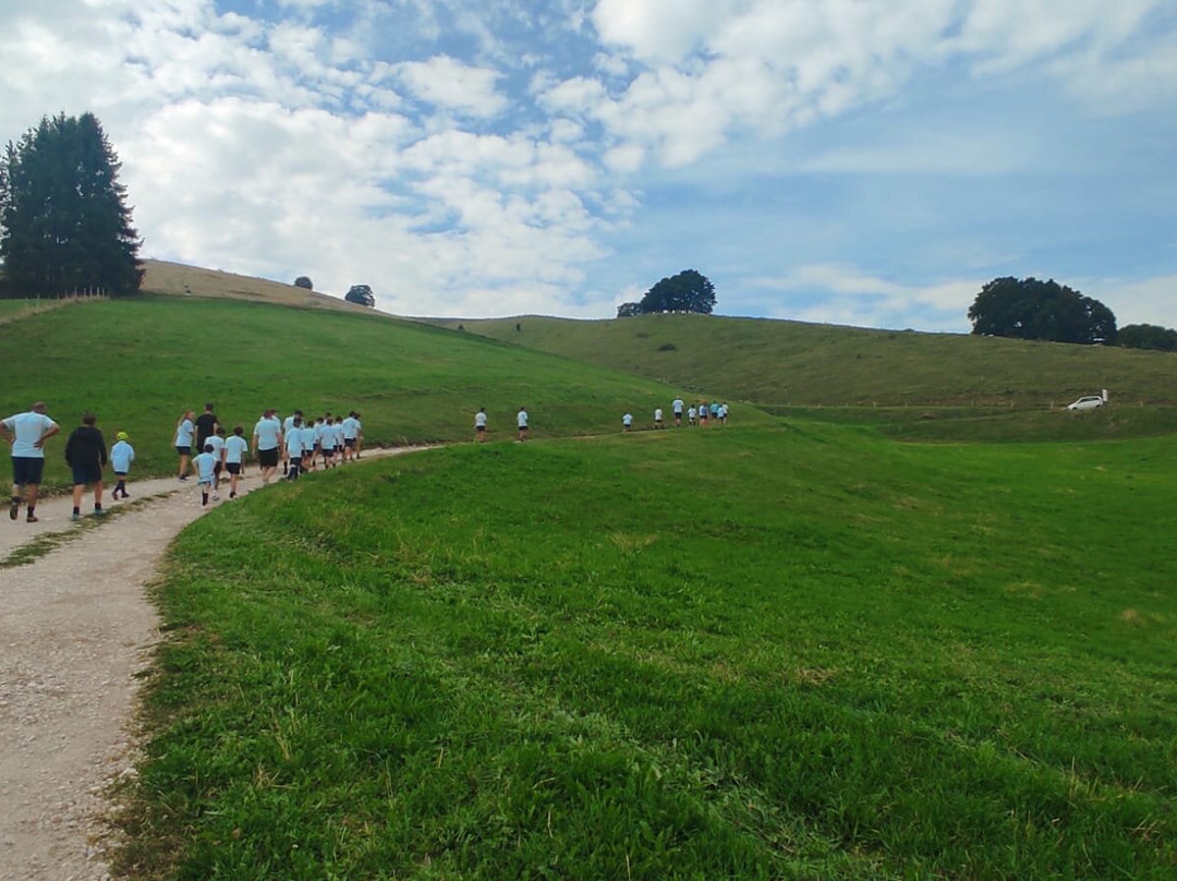贝拉维斯塔住宅酒店主图