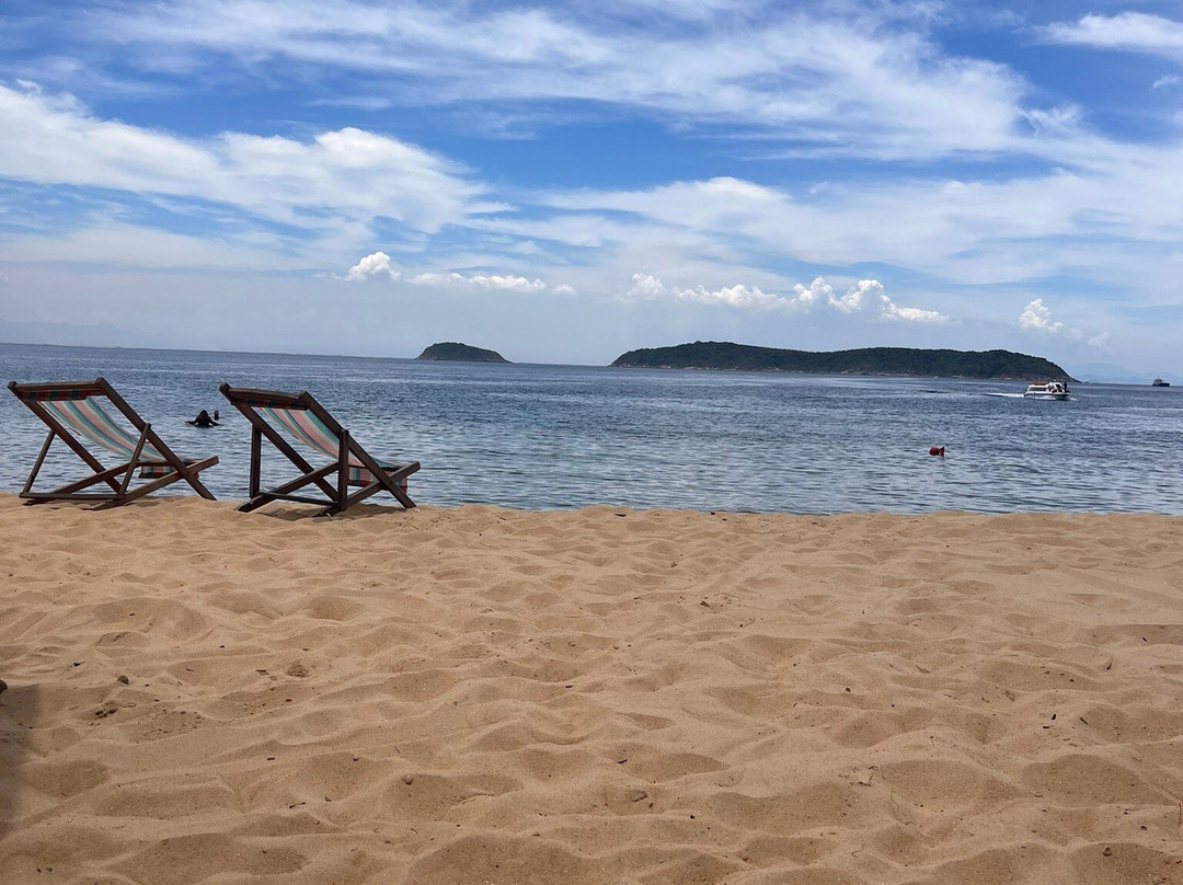 Monkey Homestay & Bar主图