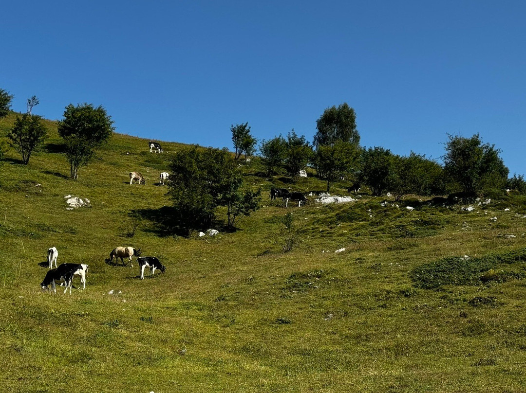 Piani di Bobbio Barzio Valtorta景点图片
