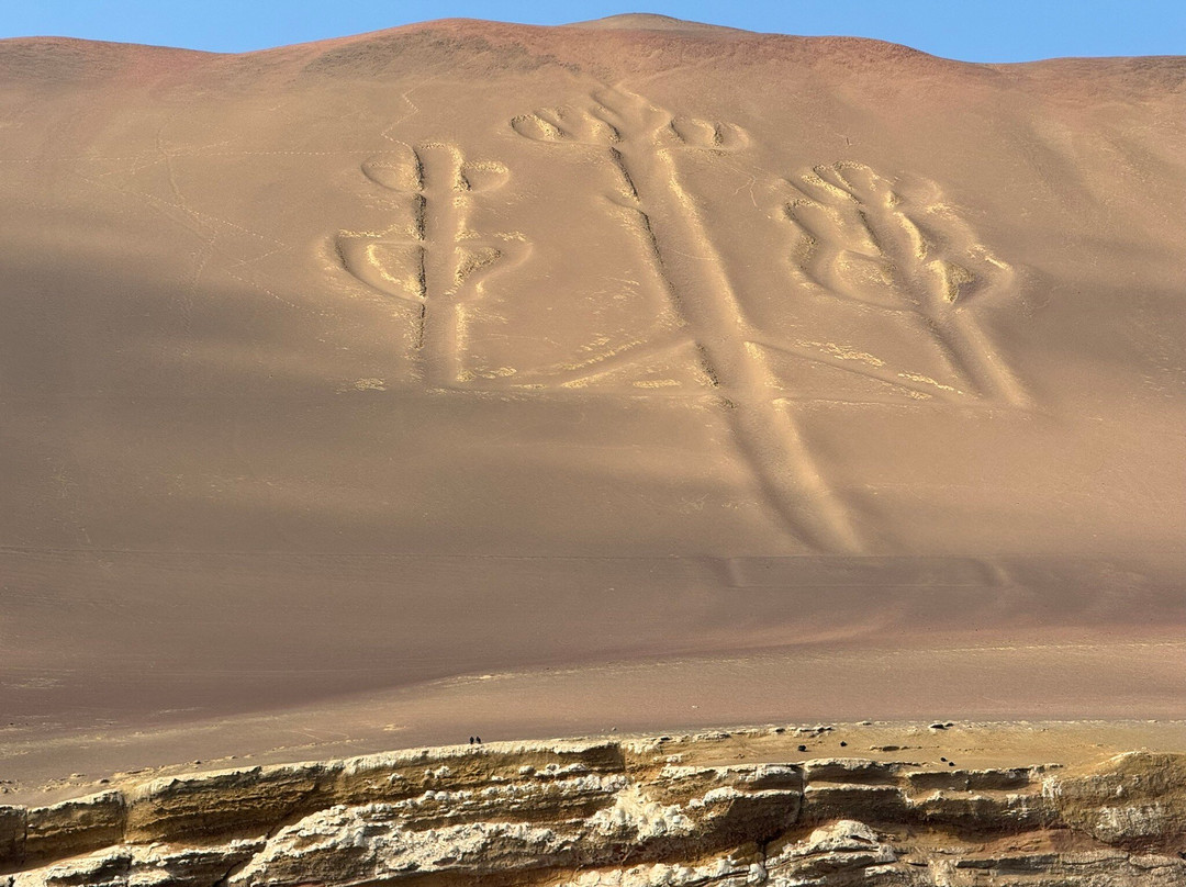 The Chandelier-帕拉卡斯必去景点