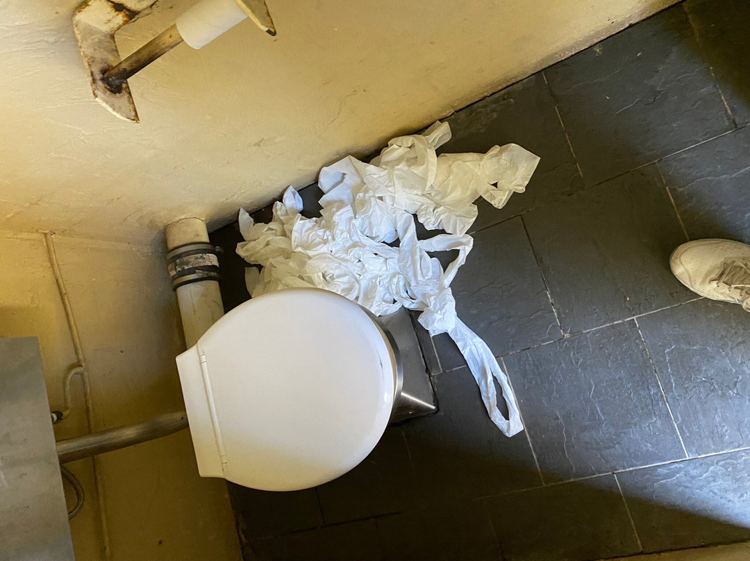 Deniliquin Water Tower Mural