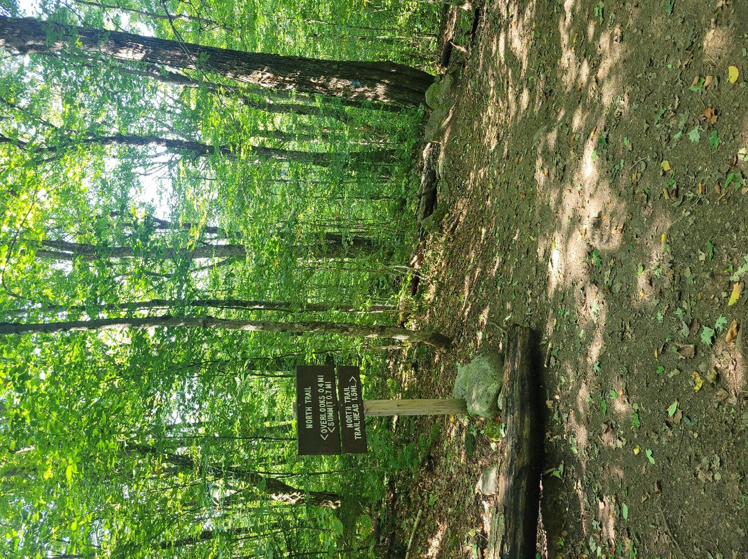 Mount Pisgah-East Burke必去景点