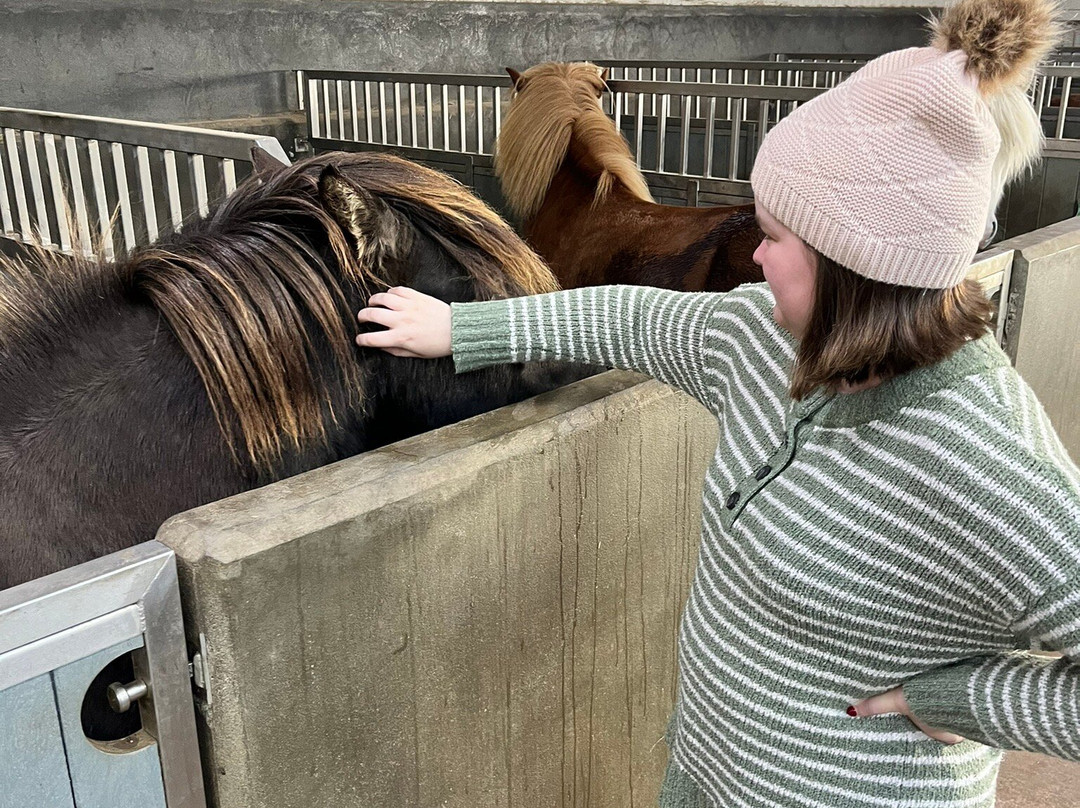 Icelandic HorseWorld-海拉必去景点