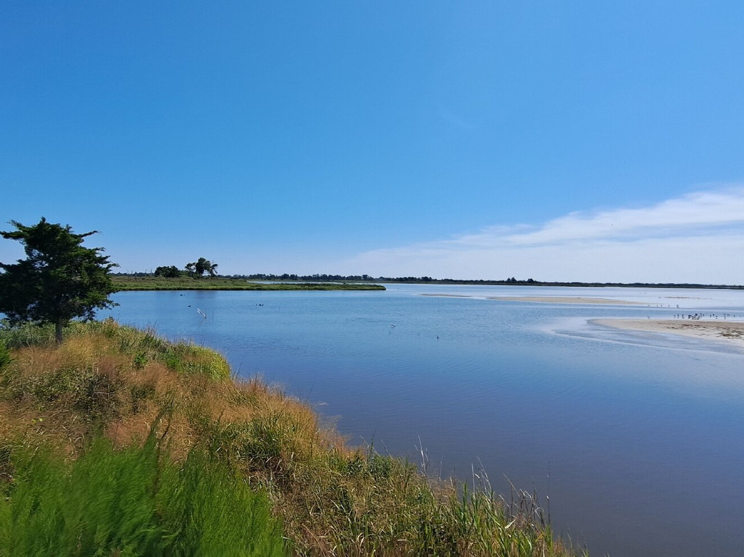 Prime Hook National Wildlife Refuge-Milton必去景点