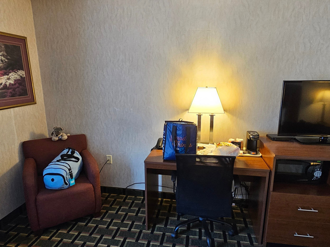 拉顿品质酒店主图