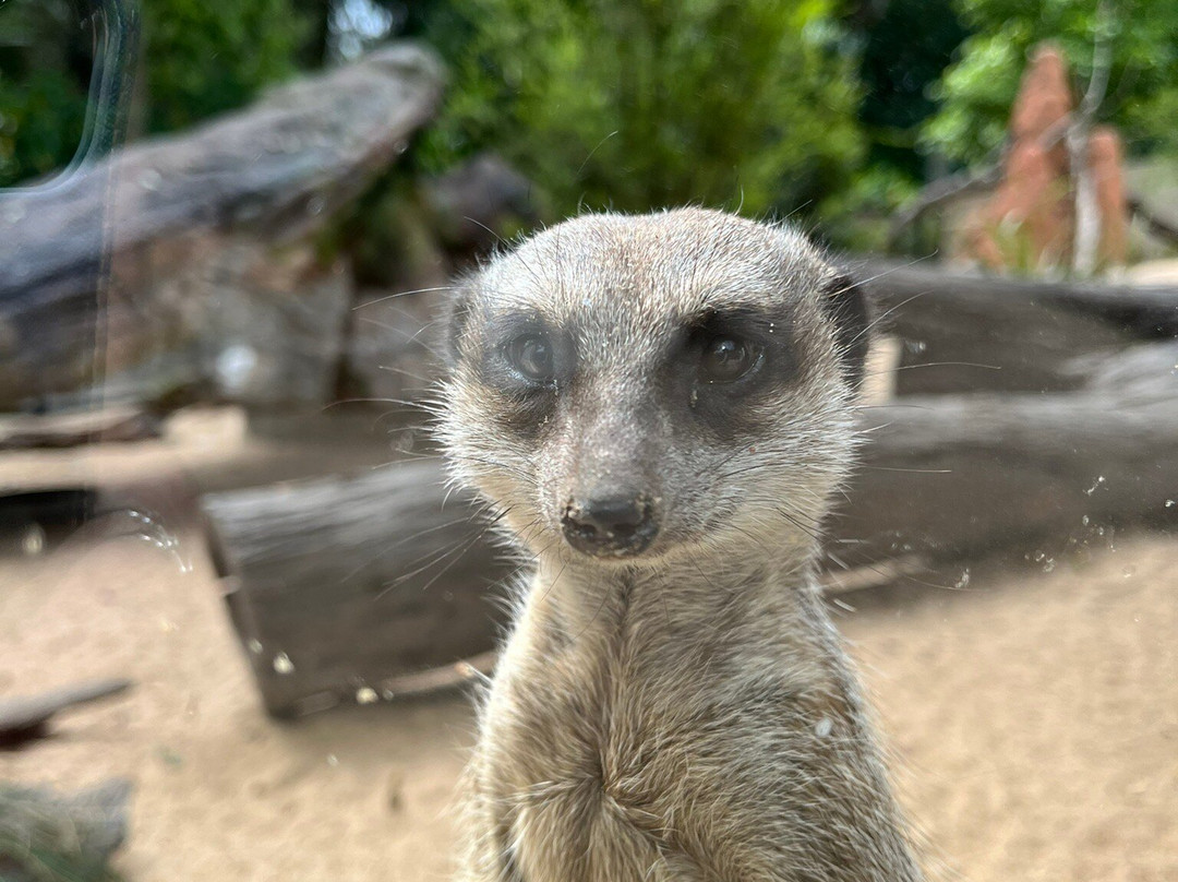 Rockhampton Zoo-罗克汉普顿必去景点