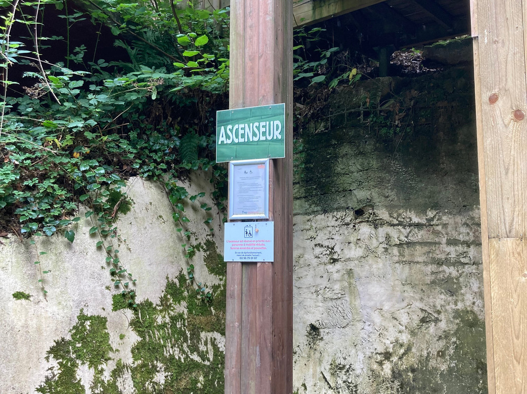 ZooParc de Trégomeur景点图片