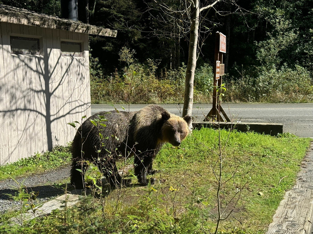 Fish Creek Wildlife Observation Site景点图片