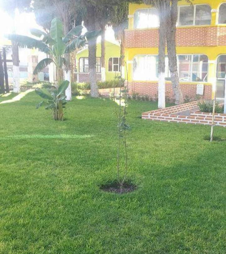 Hotel Cipreses主图