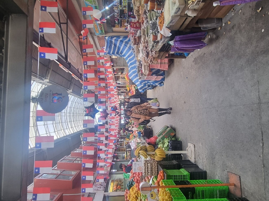 Mercado Presidente Ibanez-蒙特港必去景点