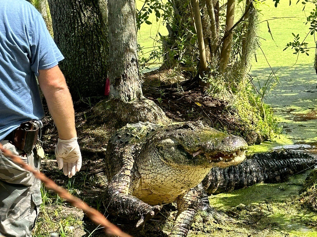 Jungle Adventures A Real Florida Animal Park-Christmas必去景点