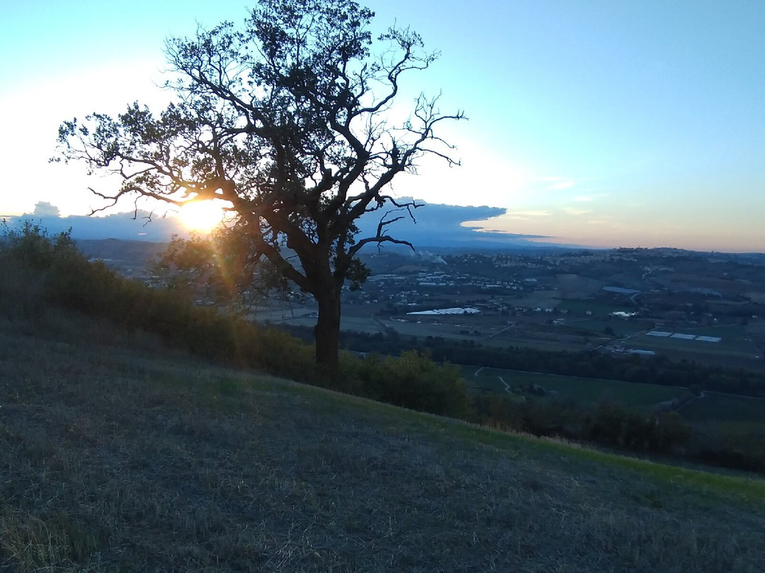 Colle Dei Falchi主图