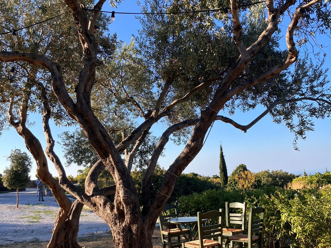 Metaxa Liknon-Vourliotes必去景点