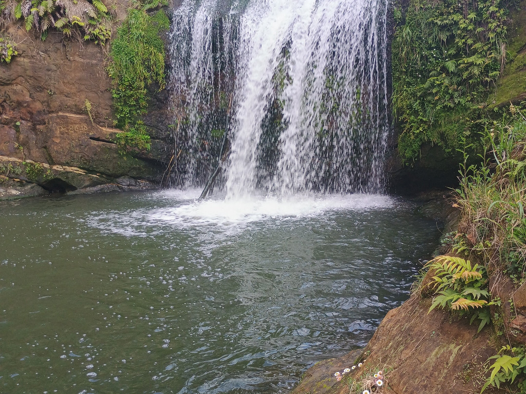 Oakley Creek Walkway-奥克兰中心地区必去景点