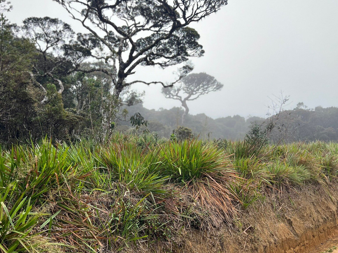 World's End-Pattipola必去景点