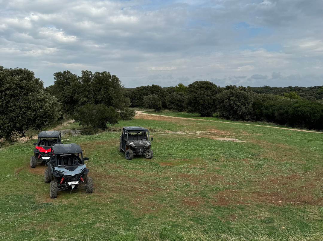 Istra Buggy-普拉必去景点