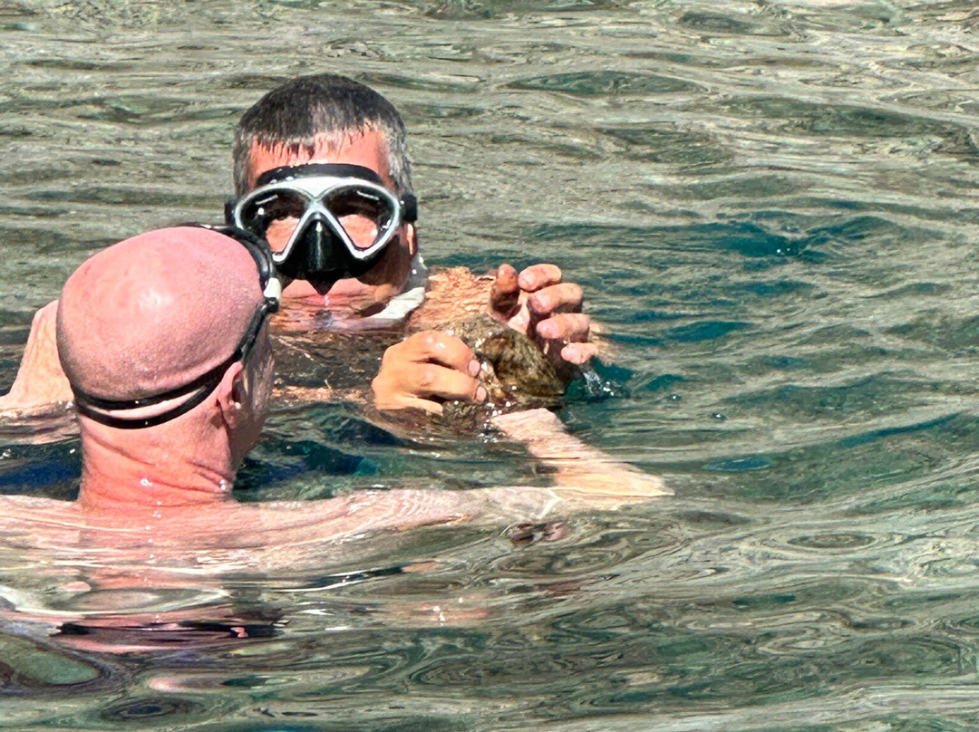 Out of the Blue Almyrida boat rental-Almyrida必去景点