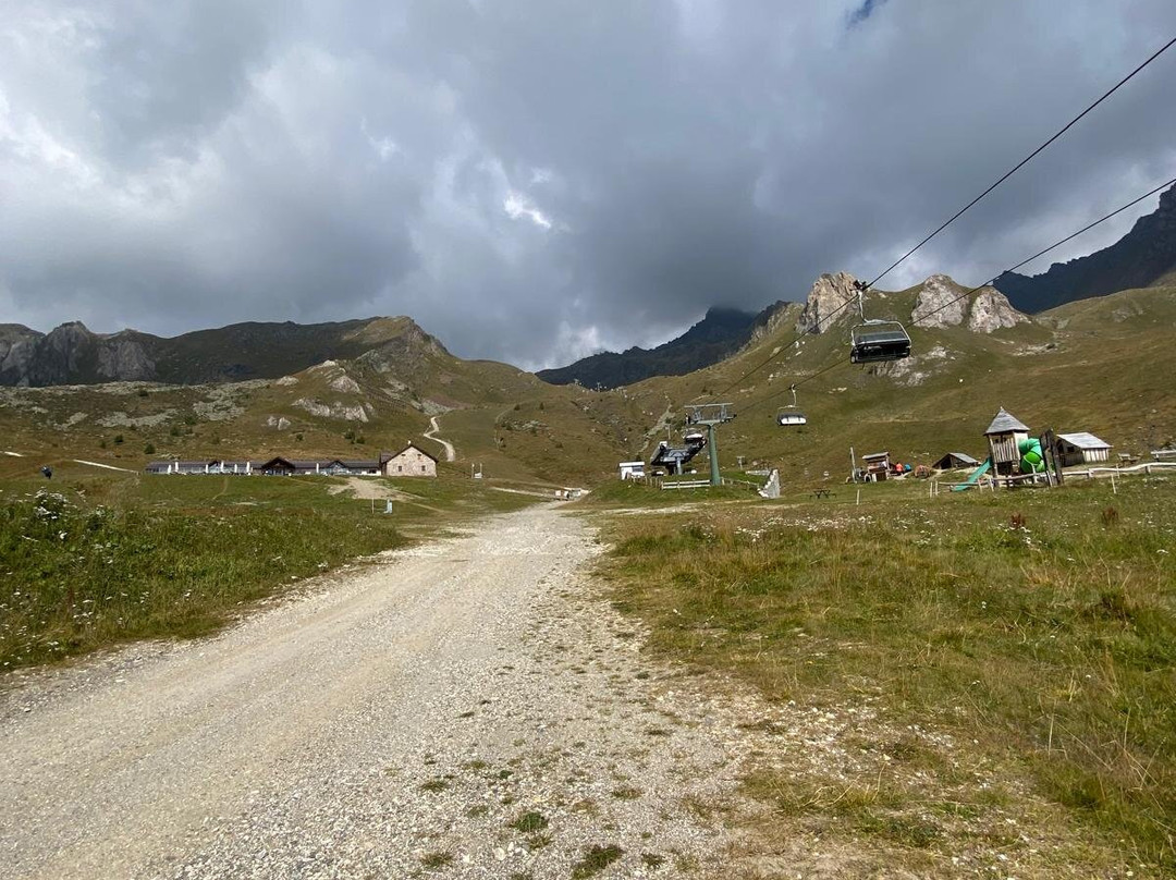 Alpine Marmot Village景点图片