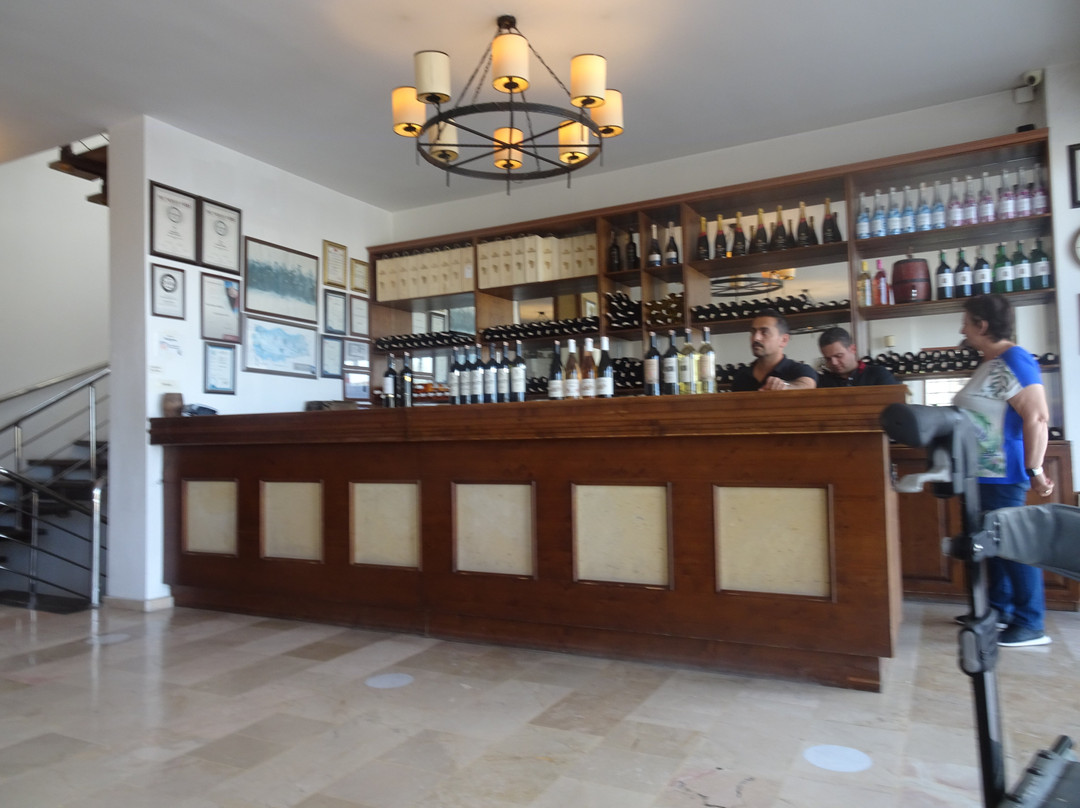Kocabag Winery-乌奇萨必去景点