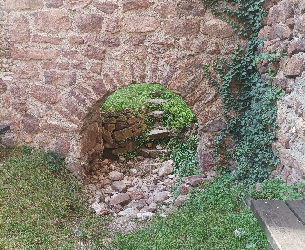 Castel Boymont景点图片