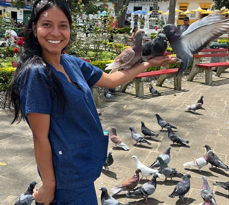 Valdivia Plaza Hotel主图