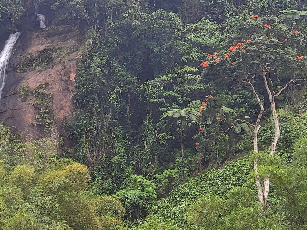 The Jewel Of Fiji - Day Tours景点图片