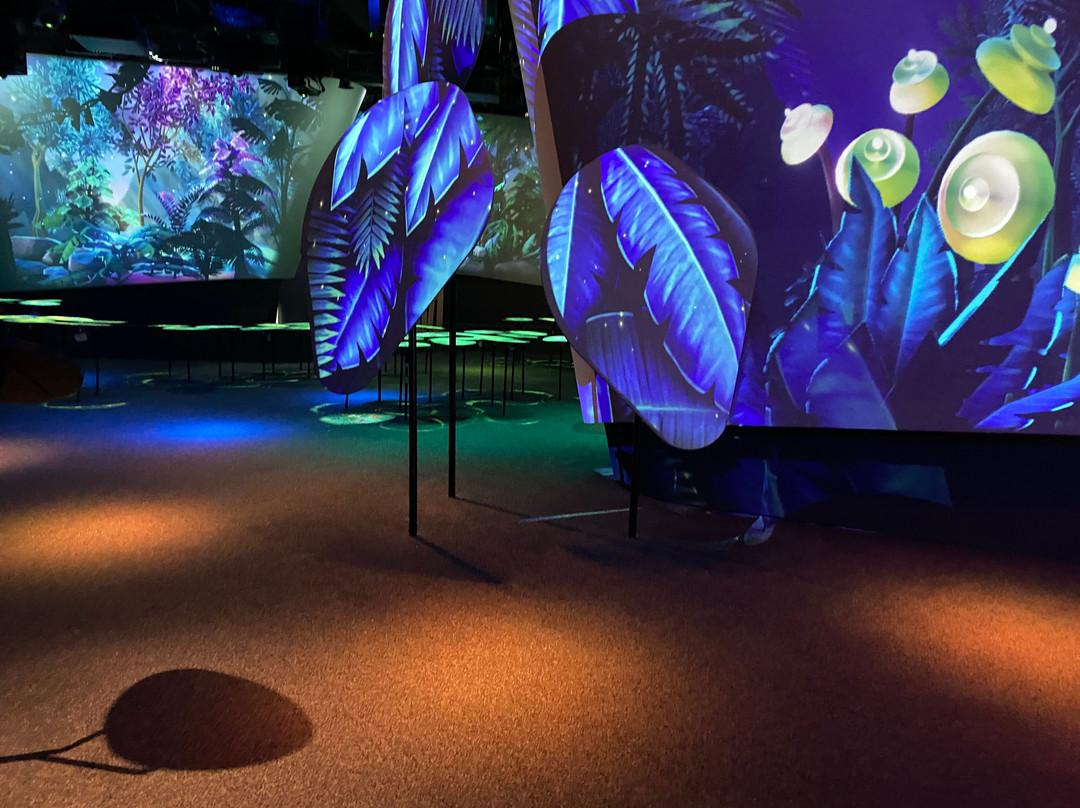 Changi Experience Studio-新加坡必去景点
