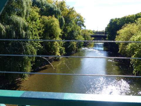 Ivey Park-伦敦必去景点