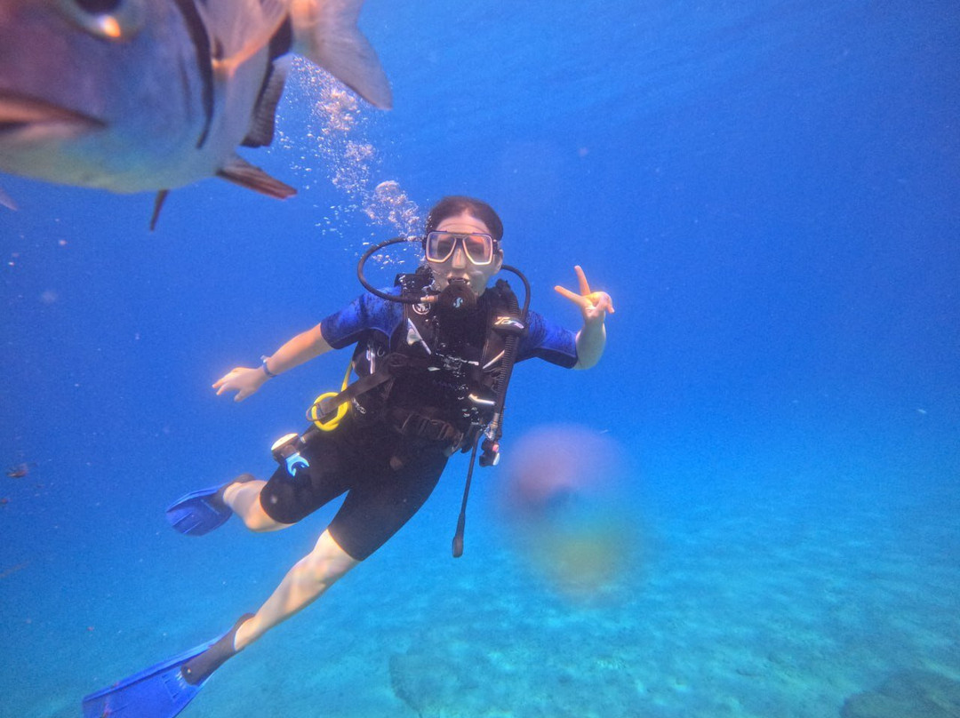 Blue World Diving Center景点图片