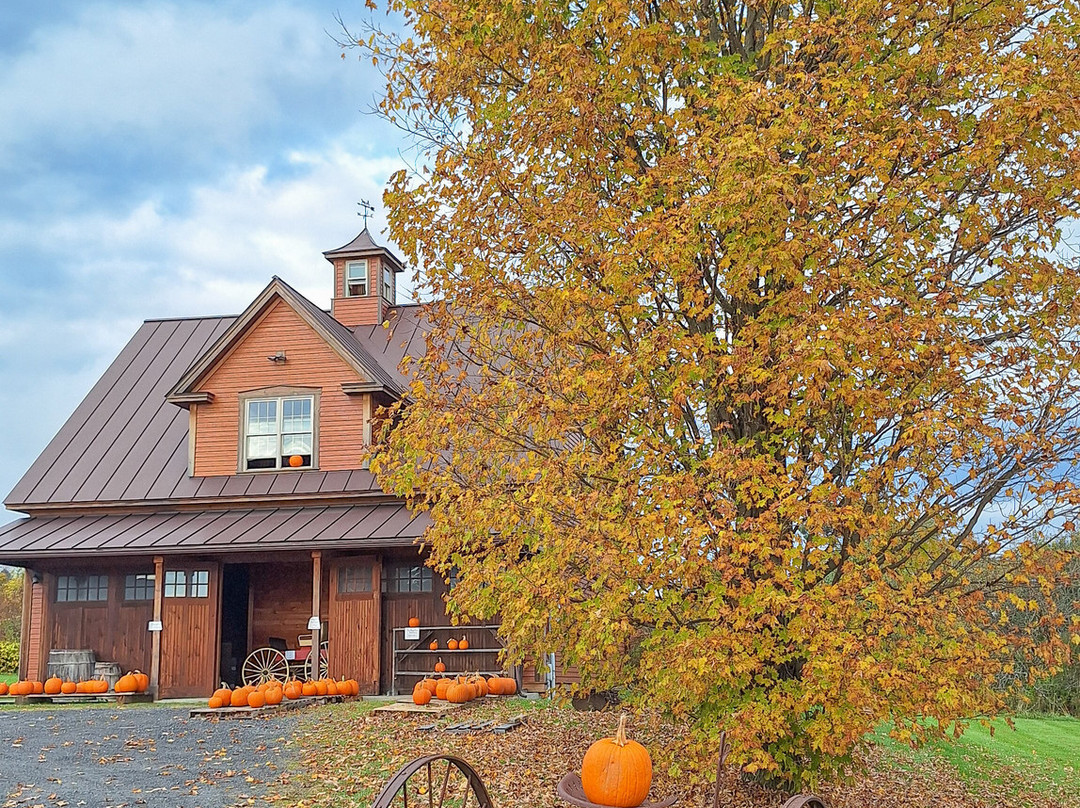 Bragg Farm Sugar House & Gift Shop-蒙彼利埃必去景点