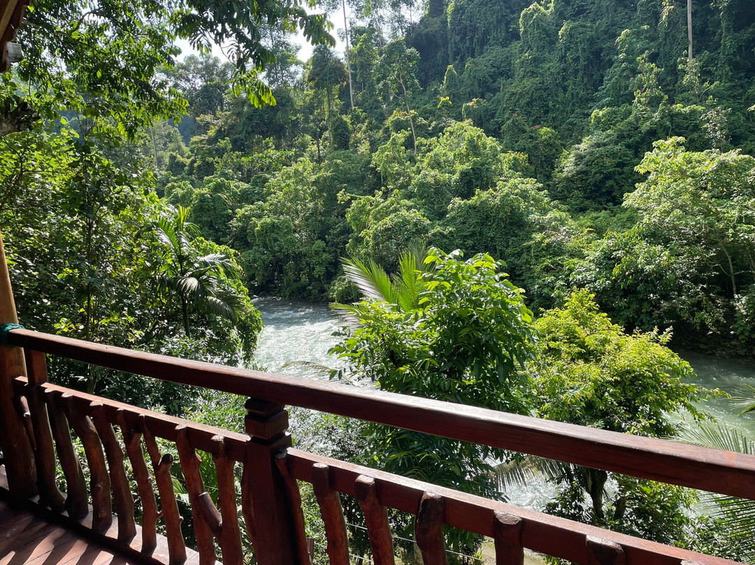 Kupu Kupu Jungle Trekking Bukit Lawang-武吉拉旺必去景点
