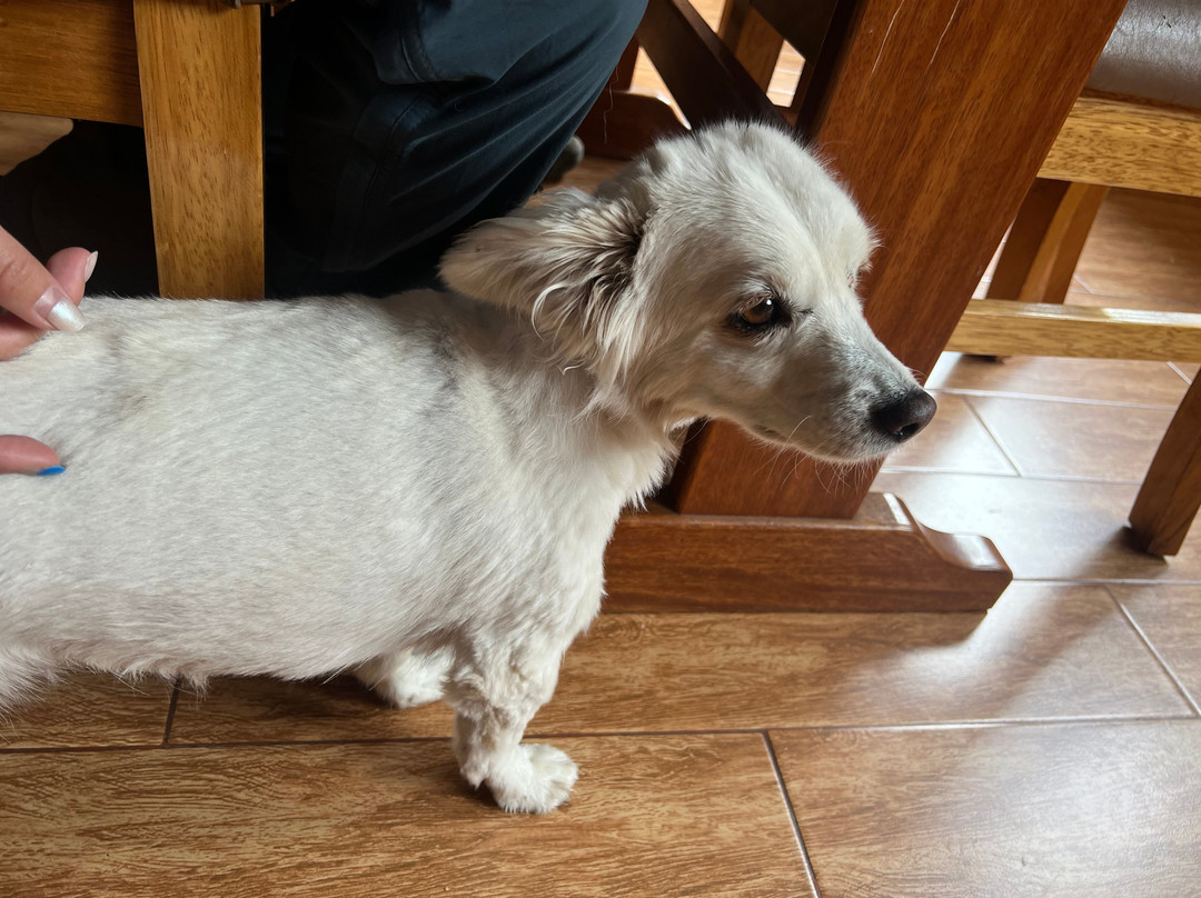 Pisac Inca Guest House主图