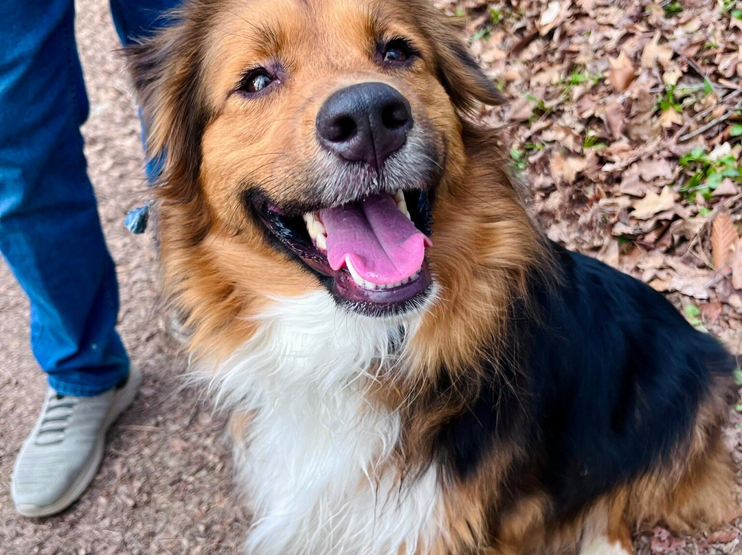 Cincinnati Nature Center-Milford必去景点