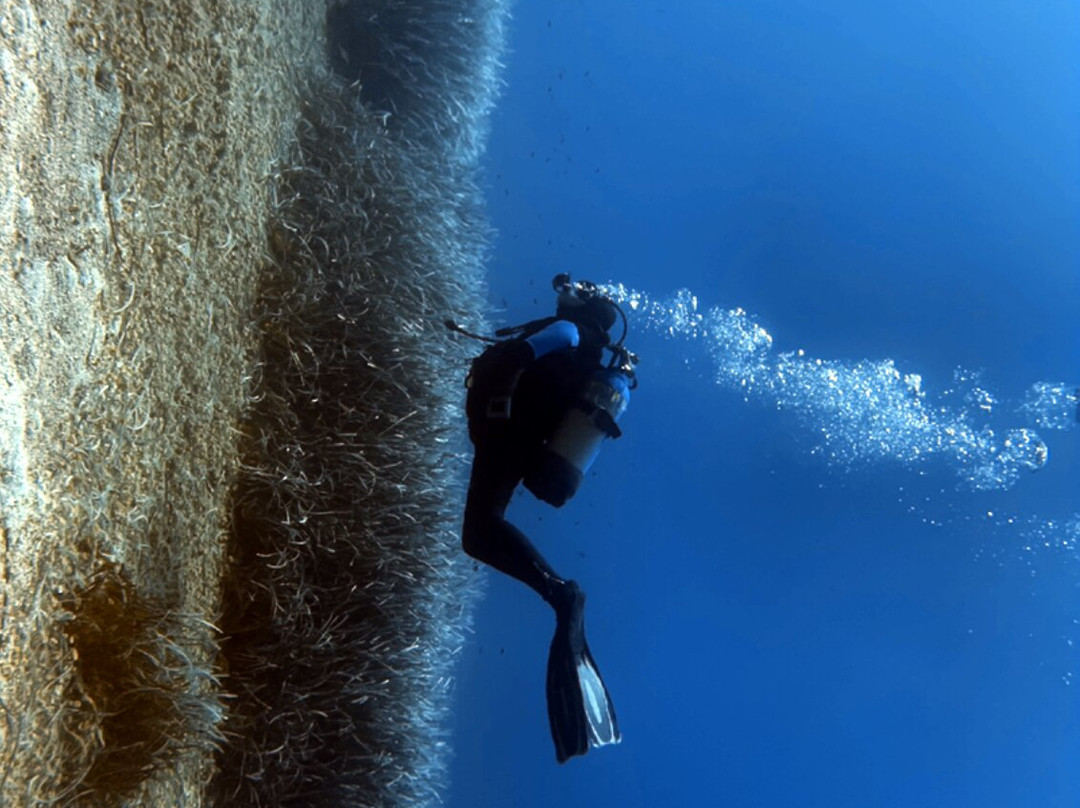 Centro Immersioni ALLDIVE-Costa Rei必去景点
