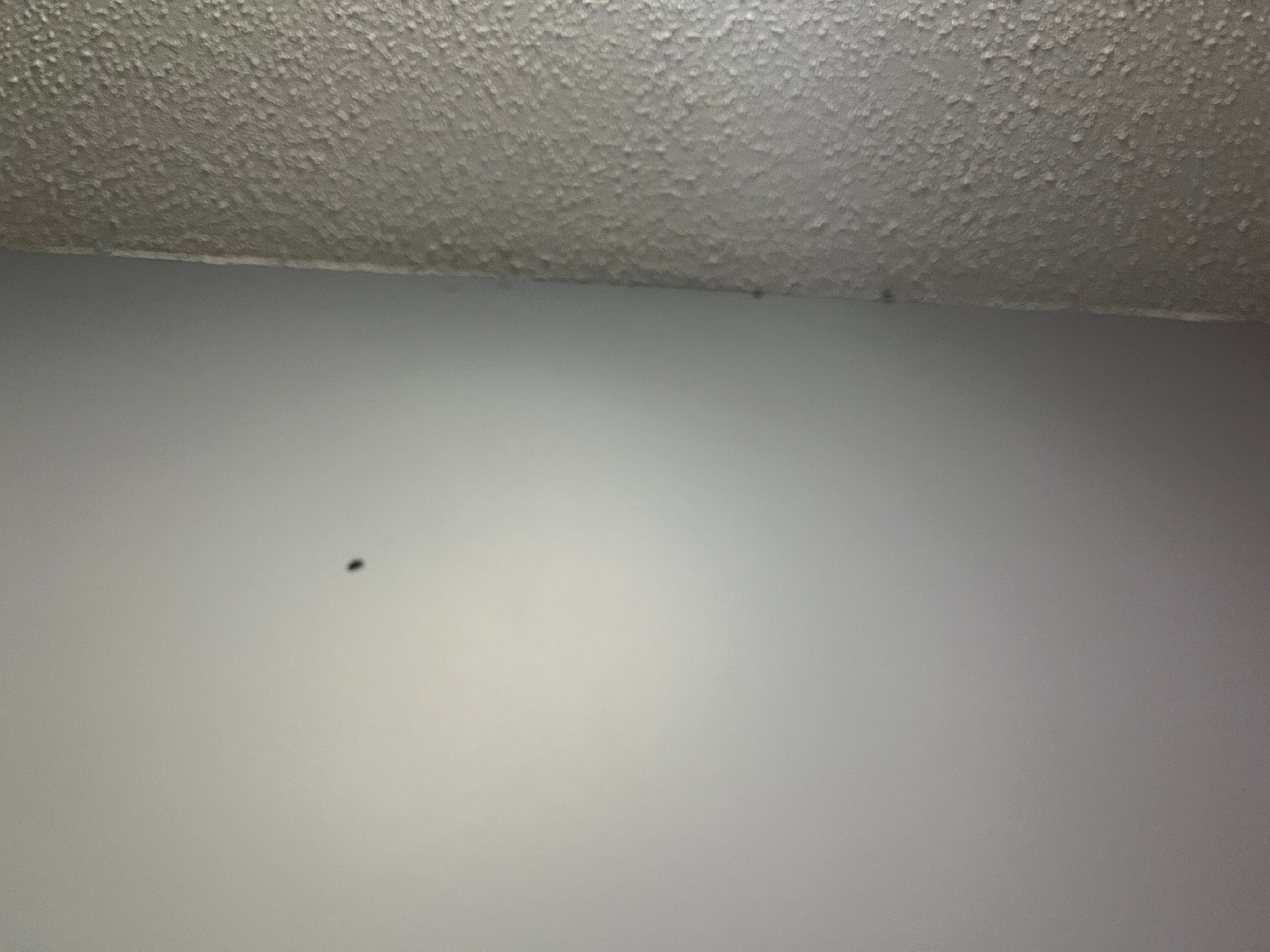 AmeriVu Inn & Suites of New Richmond-官方