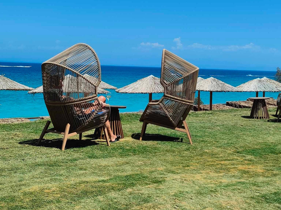 Arion Green Riviera主图