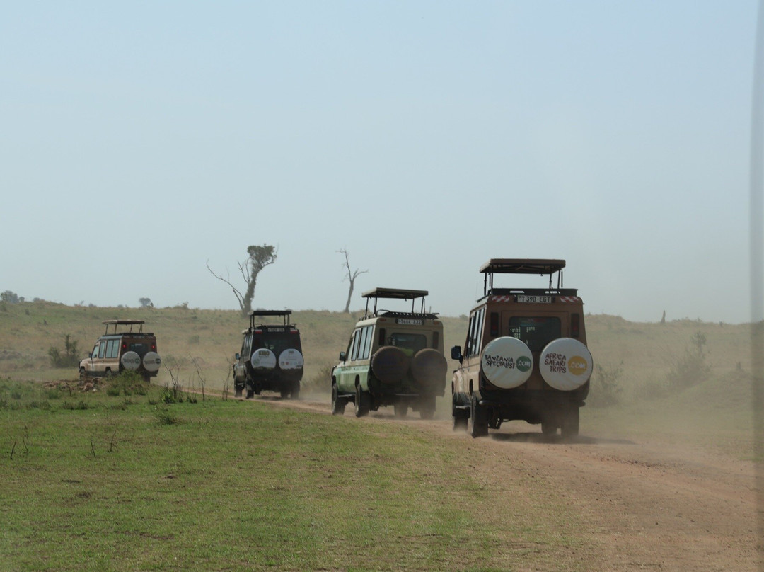 World Lineage Safaris-内罗毕必去景点