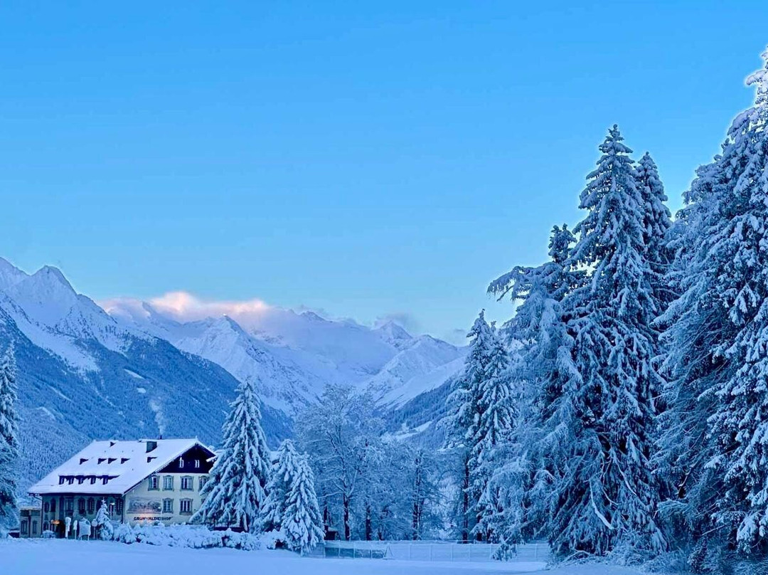 Hotel Gruenwalderhof主图