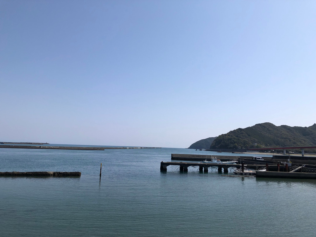 Usao Bridge-土佐市必去景点