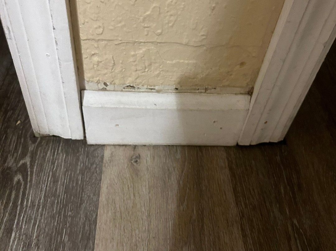 Bear Bottom Resort主图